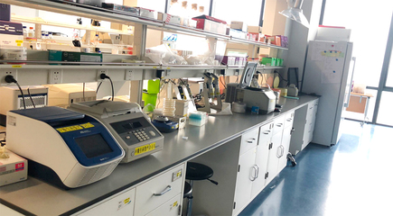 生物技術研發(fā) 驅(qū)動生命科學創(chuàng)新的核心引擎