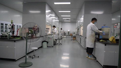 千帆競發浪潮涌 三門以通信技術開發為抓手，全力打造接滬融甬先行區